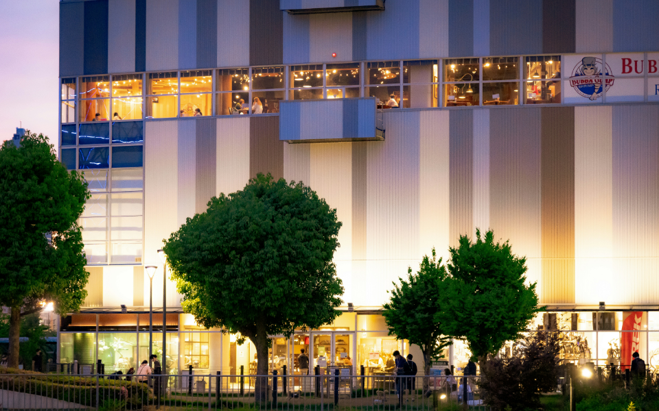 Smart Home Lighting Solutions