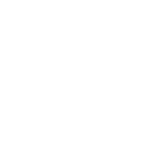 Fast Delivery