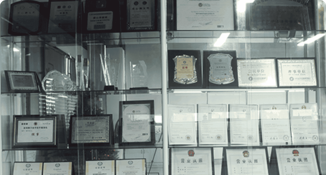 Professional Certificate