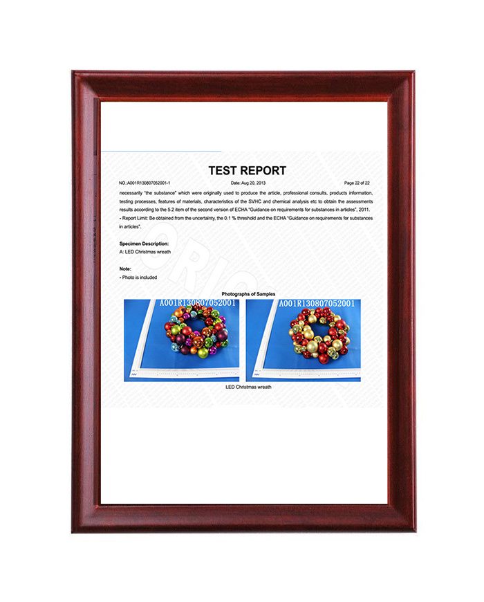 Test Report