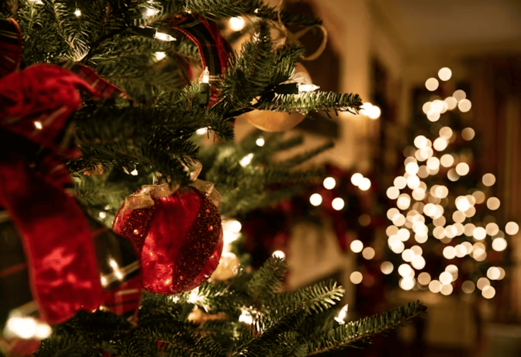 How to Pick your Christmas Tree from National Tree Company
